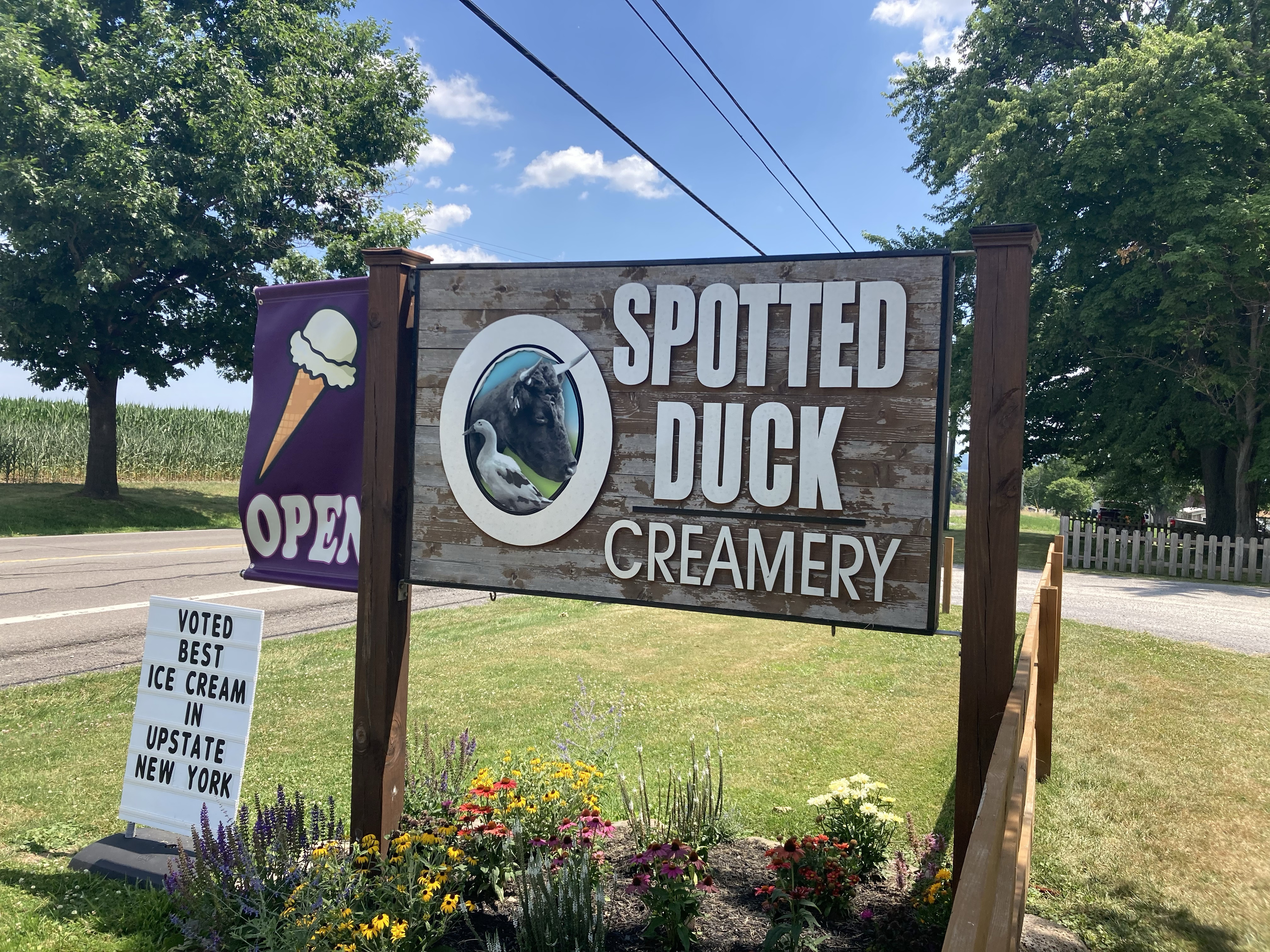 Spotted Duck Creamery